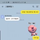춘천타이마트 이미지