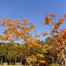 주암(순천) 이미지