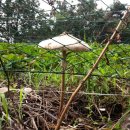 해랑 어린이집(어린이집) 이미지