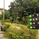 어썸타운 이미지