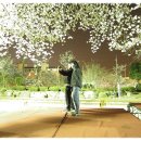 여좌천거리 이미지