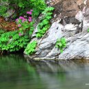 갈론계곡캠핑장 이미지