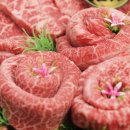 육류백화점 이미지