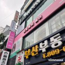 내돈내산 부산 히피펌 재시술 후기 :: 서면 히피해피헤어 히피펌반머리 반묶음