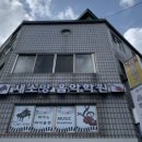 새소망음악학원 네이버블로그