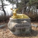 황금송아지 이미지