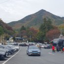 진산애향기