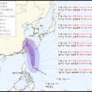 태풍소프트 이미지