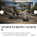 배꽃향기종수원 | 나주 대형카페 이화림 : 꽃이 가득한 정원이 아름다운 힐링스팟 (배꽃 지기 전 가보세요!)