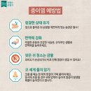 독일시그니아보청기 서면센터 이미지