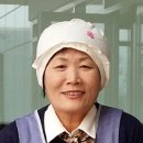법인솔티 이미지