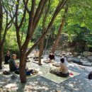 솔내음과 물소리 이미지