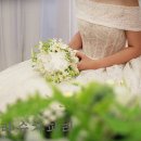 슈가파티 이미지
