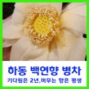 연향장식 | 기다림은 2년, 머무는 향은 평생 하동 백연향병차
