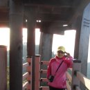 도리산전망대 이미지