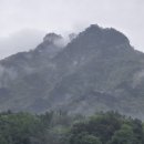 수산1리 이미지