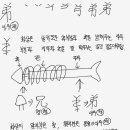 아우제