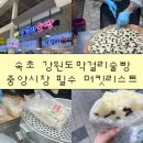 속초 강원도막걸리술빵 | 속초중앙시장 필수 먹킷리스트! 웨이팅 아깝지 않은 내돈내산 후기