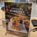 웰빙홀쇼핑 | 전문점 '시즈니크 신세계백화점 센텀시티점' 방문 후기(망고케이크, 멜론케이크 가격 및 사이즈, 동물성...