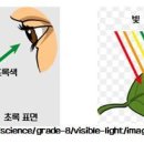 빛의 소나타 이미지