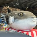 모텔카라 | [시모노세키 1일 일정]_일본 시모노세키 하루 일정