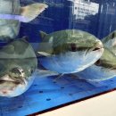 노형늘봄 이미지