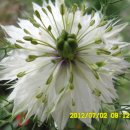 선산대로-20 이미지