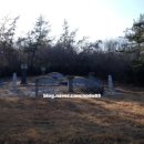 순천-48호 이미지