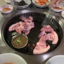 한국농수산대학교 네이버블로그