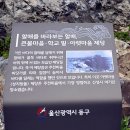 주전큰마을 이미지