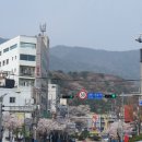 성지연꽃길 이미지