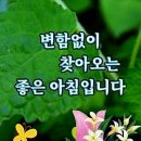 ♡ 6윌 27일 목요일 전북방 출석부 입니다. ♡ 이미지