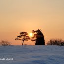노을빛 정원 이미지