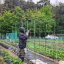 마음을 키우는 창작공예 이미지