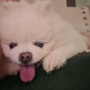 우물셀프세차장 이미지