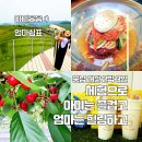 체리목장 이미지