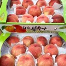 가가농원