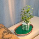 원목 우드 트레이 만들기 | 우드트레이 원목 감성 제대로 살린 엔틱소품 후기