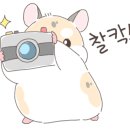 트윈클라이밍짐