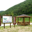 오토캠핑장 이미지