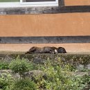 계봉농장 이미지