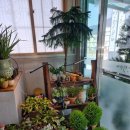 영월본가 이미지