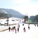 용평리조트 이미지