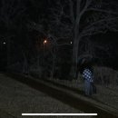 용진운수 이미지