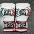 고니복싱 이미지