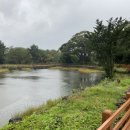 제주동마트 이미지