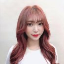 신정미용실 - 전주시 완산구 | 신정미용실