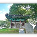 비중리 석조광배 네이버블로그