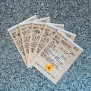 대항마을 | [여행] 거제도 저구항에서 매물도 대항마을 배편 매표소 시간표 예약 방법