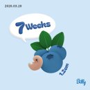 멍글벙글 | 임신 7주3일 (19) 낮은 심박수 충격과 공포의 3일